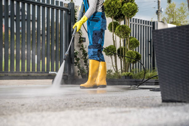 Best Fence Cleaning  in Carthage, IL